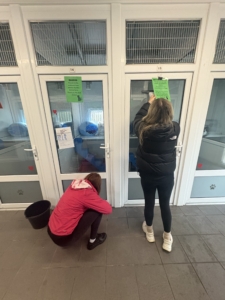 Dog adoption shelter with people placing signs on kennels, promoting pet care and adoption. Focus on animal rescue, pet shelter, and caring for animals at Microlise Careers.
