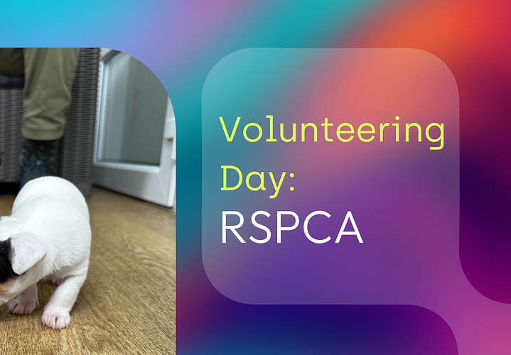 Puppy volunteering at RSPCA, adorable dog rescue event, children and dogs at RSPCA volunteer day, volunteering for animal welfare, dog rescue event for RSPCA, volunteers caring for puppies, emotional support animals at RSPCA, community animal rescue activities, pet care volunteering event, compassionate animal rescue volunteers.