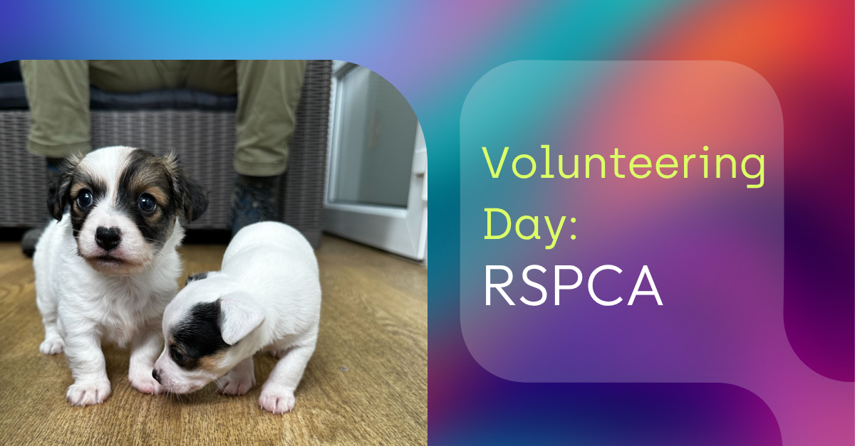 Puppy volunteering at RSPCA, adorable dog rescue event, children and dogs at RSPCA volunteer day, volunteering for animal welfare, dog rescue event for RSPCA, volunteers caring for puppies, emotional support animals at RSPCA, community animal rescue activities, pet care volunteering event, compassionate animal rescue volunteers.