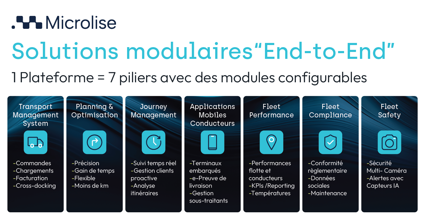 1-Microlise 7 Pillars_FR-02